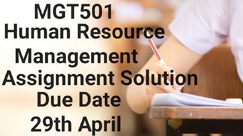 MGT501 Assignment 1 Solution 2024| mgt501 assignment solution spring 2024