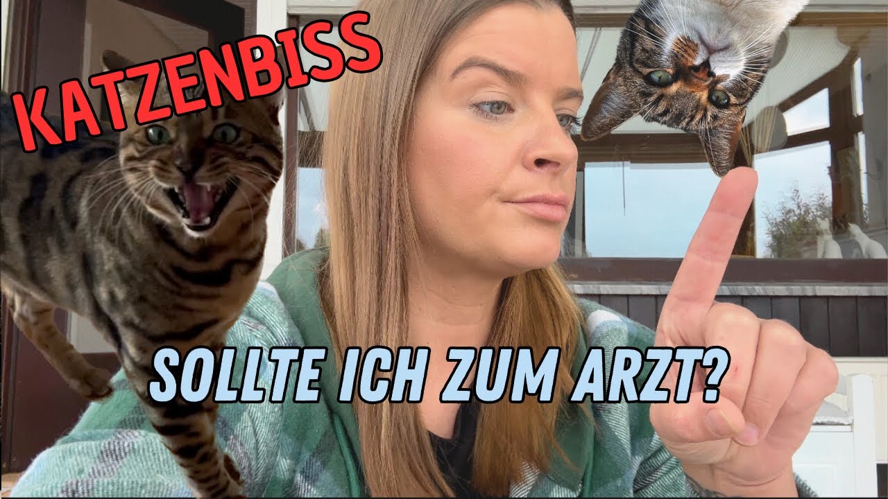 Katze hat mich gebissen und Wurmi ist abgehauen YouTube