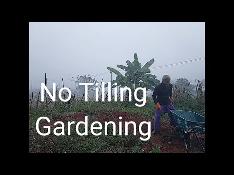 No Tilling Gardening