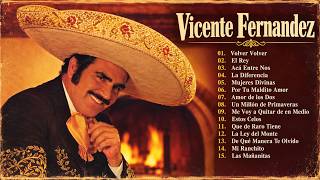 VICENTE FERNÁNDEZ 30 RANCHERAS PERRONAS ~ VIEJITAS PERO BONITAS RANCHERAS MEXICANAS
