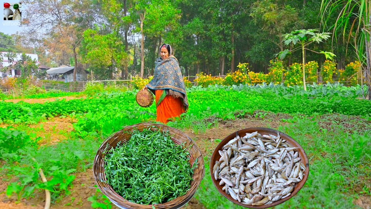 বাগানের তাজা ছোলা শাক দিয়ে মোরোলা মাছের ঝোল সঙ্গে নদীর ট্যাংরা পাবদা মাছের ঝালদা | Chola shak recipe