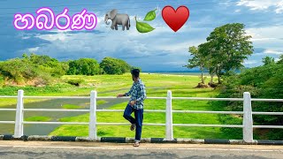 හබරණ යද්දි සෙට් වෙන අමුතු ලස්සන pot එකක් 🍃 | Habarana 🐘