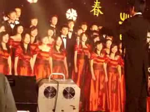 灿烂阳光下