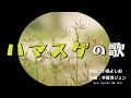 ハマスゲの歌