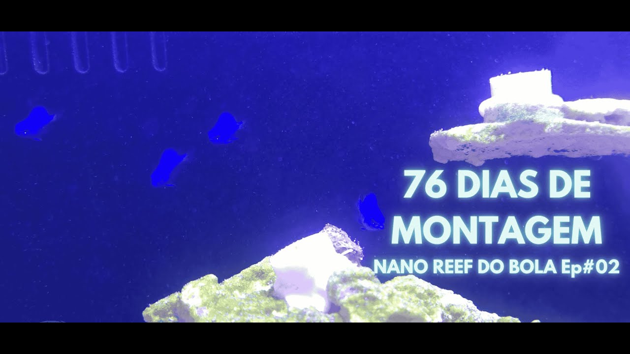 76 DIAS DE MONTAGEM! - NANO REEF DO BOLA ep #02