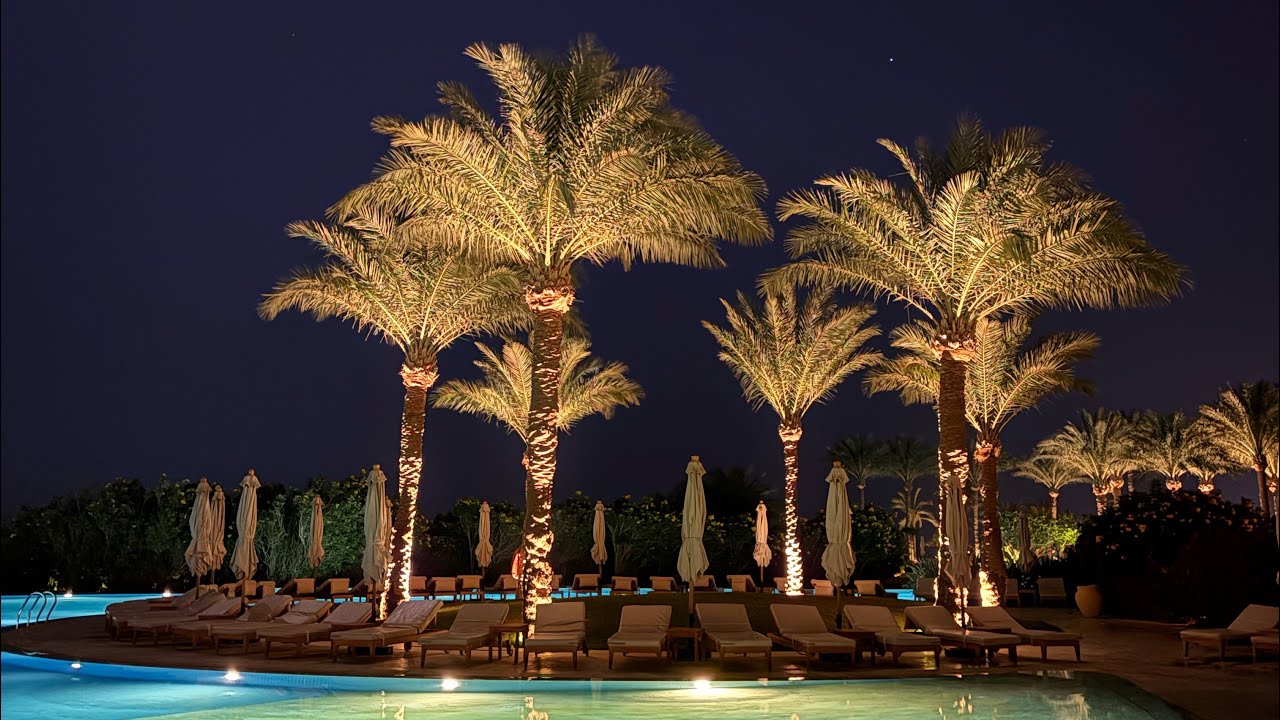 Онлайн собеседование с работодателем: что будет, как подготовиться 