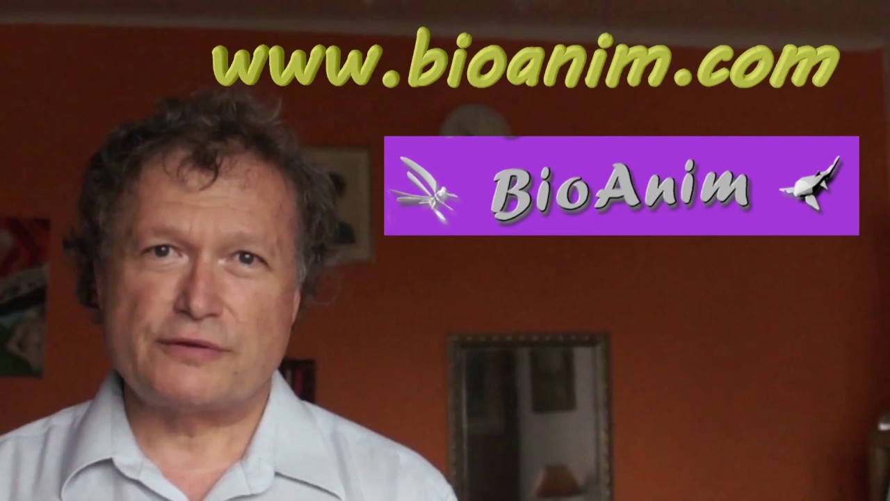 Tomaz Amon   about my work