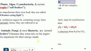 General Biology freshman chapter 4 cellular metabolism lesson  3 Amharic episode