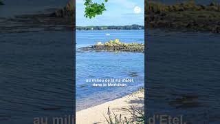 Une île privée à vendre dans le Morbihan... À quel prix d'après vous ?