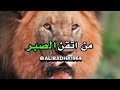 من اتقن الصبر لن تكسره الحياة