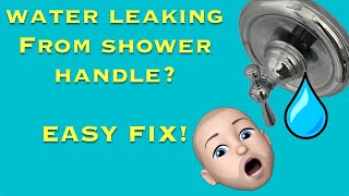 Water coming out of shower handle? Easy and cheap fix!
