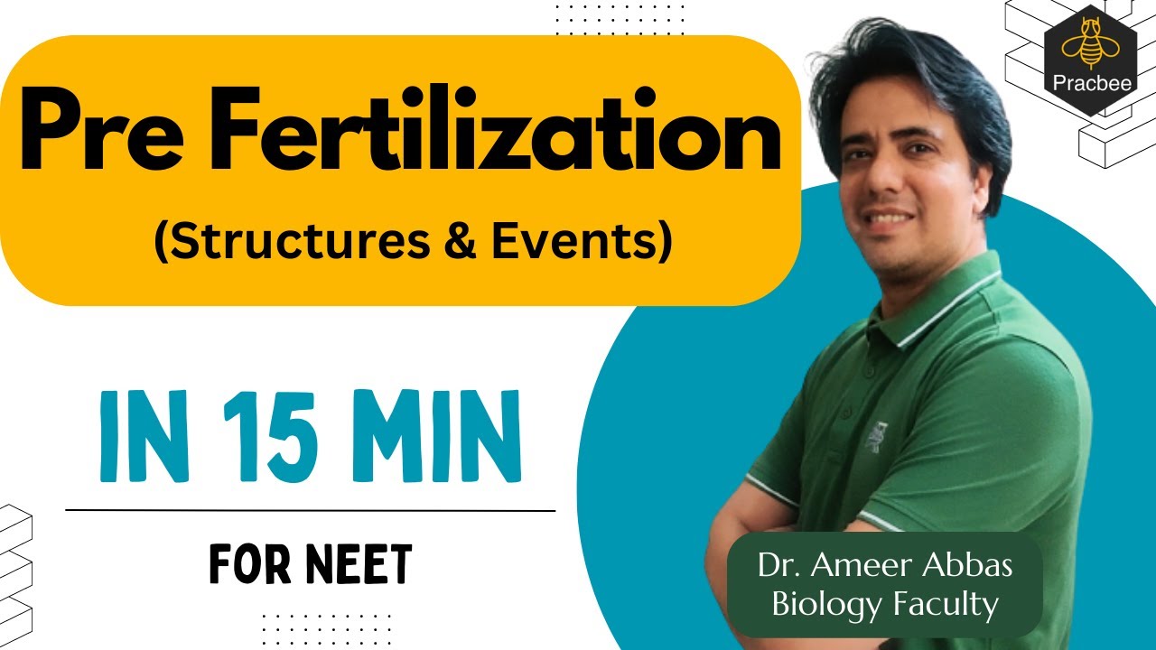 Most Important MCQ - Pre Fertilization - Sexual Reproduction in Flowering Plants | NEET | Dr. Ameer