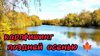Карпфишинг поздней осенью 🍁 #рыбалка #fishing #carpfishing #карп #карпфишинг