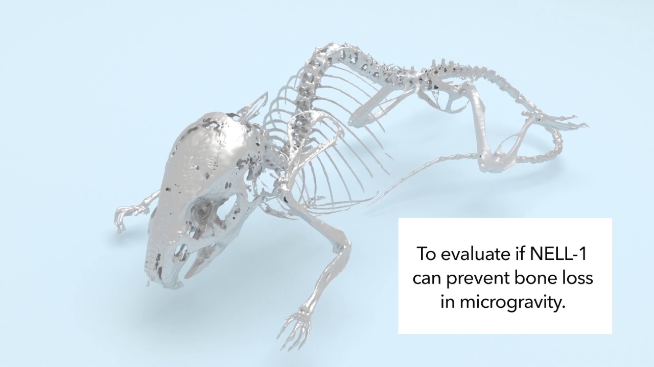 ISS National Lab SpaceX CRS-11 Payload Overview: UCLA
