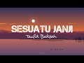 Lirik sesuatu janji a certain promise  taufik batisah