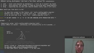 Using Sails.js with Docker containers