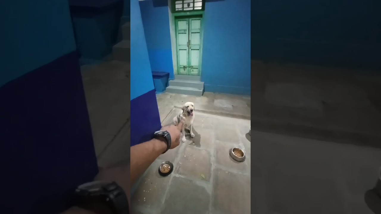 Snacks time with TrainingSnacks time with Training