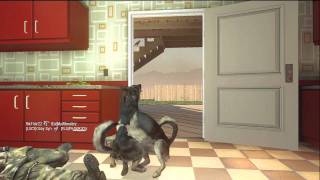 Commando Dog!!!