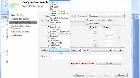 PerformancePoint Text Search Filter - Configuration