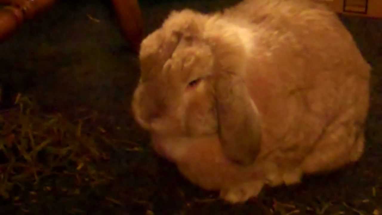 Hay, whatcha got there?