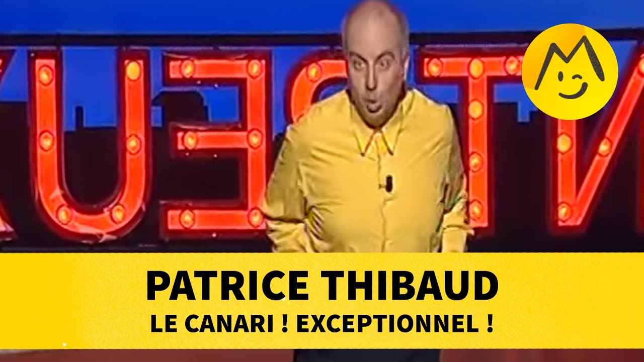 Patrice Thibaud : le canari ! exceptionnel !