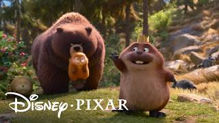 호퍼스 연못 법을 소개합니다