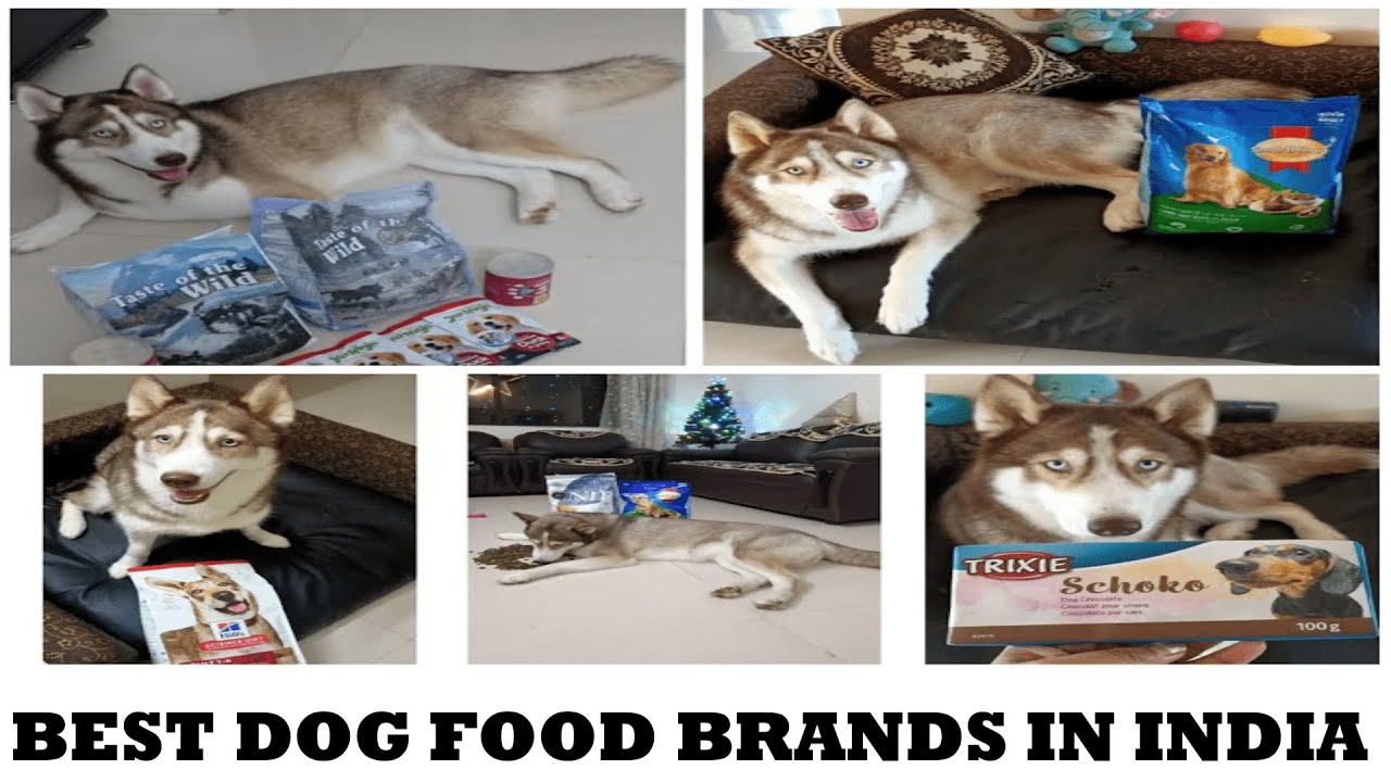 what is a good brand of dog food for a husky