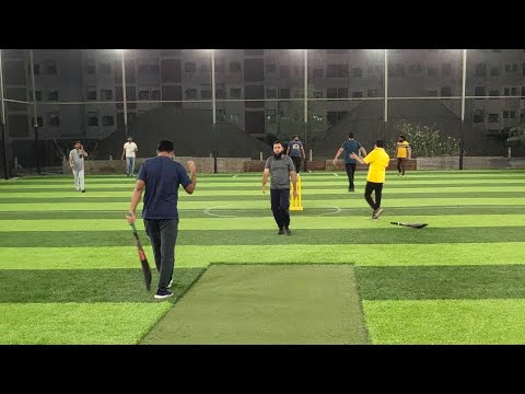 Cricket Match MSD