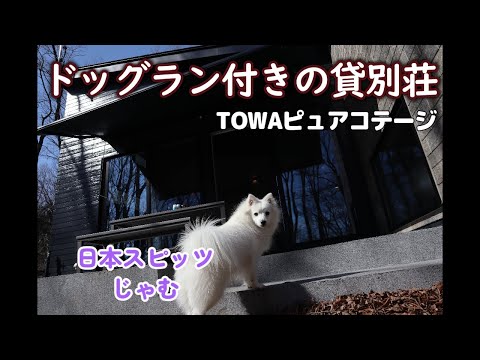 TOWAピュアコテージで宿泊したよ#日本スピッツ#那須