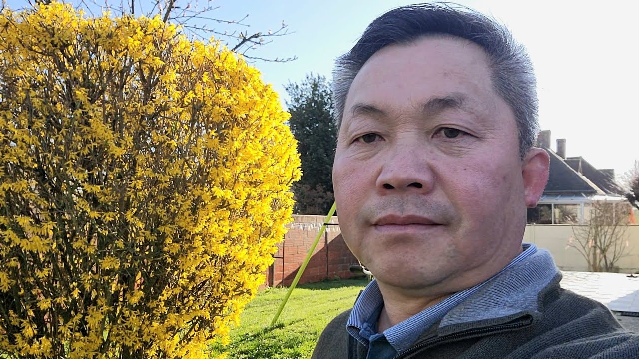 Ib Tug Phoojywg Raws Saib Kuv, Tabsi Nws Paub Tsis Tas Tias Kuv Hais Dabtsi..☺️😁.!