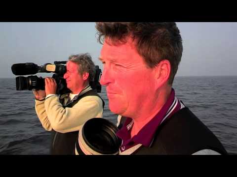 Jean Marie Liot et Laurent Celarié