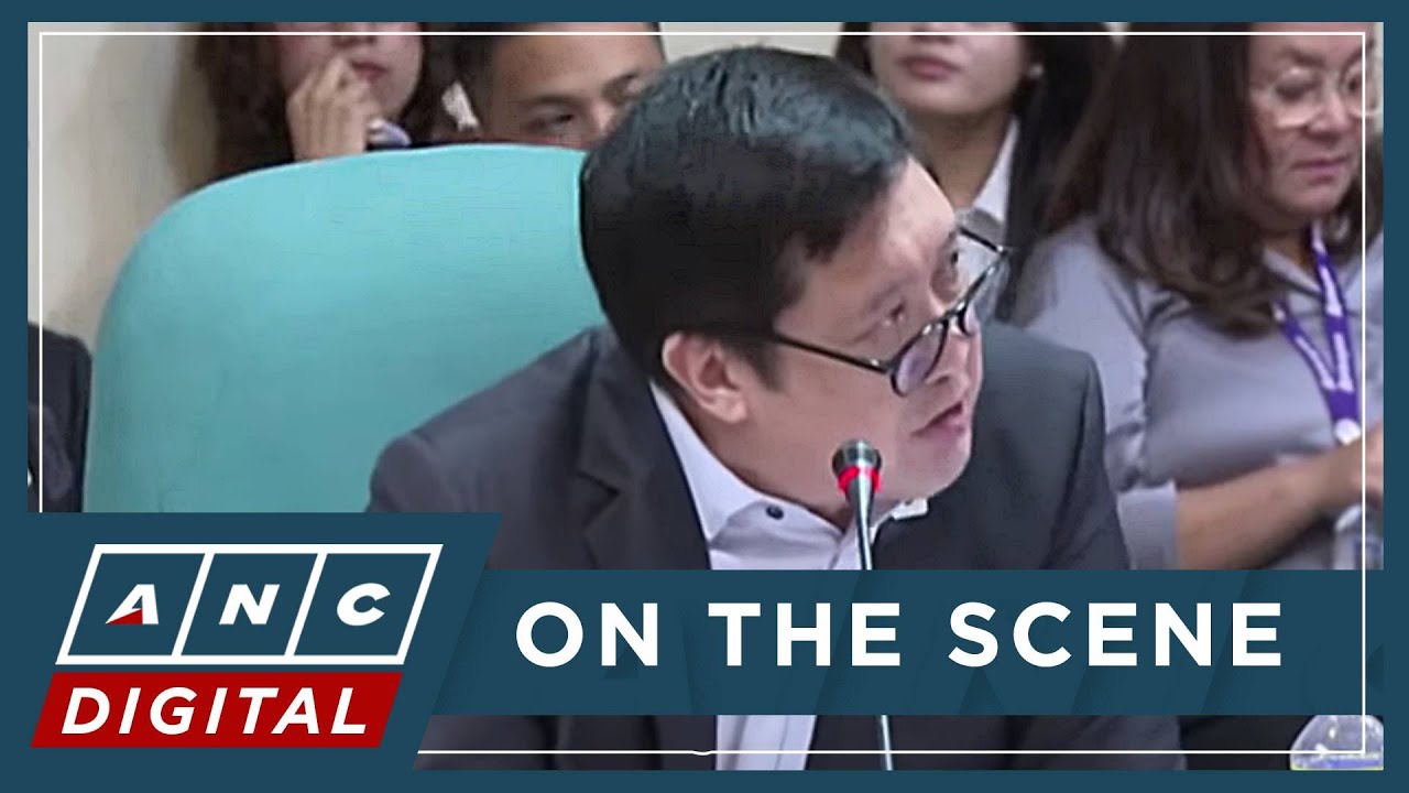 Viado urges Senate to amend Immigration Act | ANC