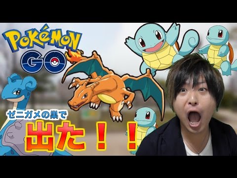 ポケモンgo ゼニガメの巣で リザードン出現 そして 念願のラプラスも Pokemon Go Youtube