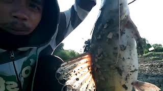 Rekor  Mancing Ikan Baung Babon Di Sungai