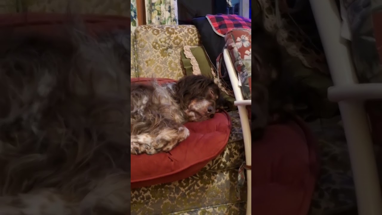 Friday Morning🥰 Mama done magic outside🤣 