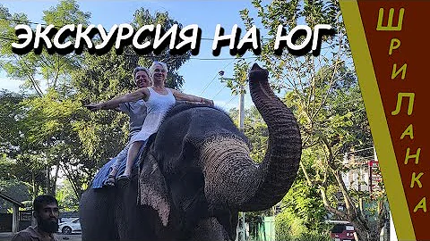 Шри-Ланка (Sri Lanka) - Катемся на слонах.