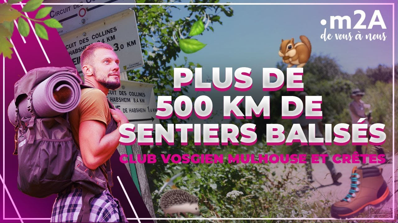 Sentiers pédestres du Club Vosgien | m2A de vous à nous