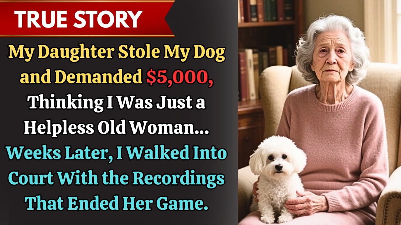 My Daughter Stole My Dog and Demanded $5,000… She Never Expected Grandma to Turn the Tables in Court
