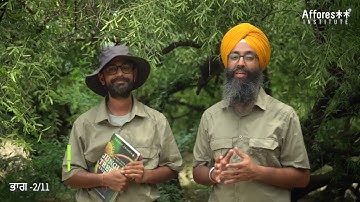 Ch:2 | Forest Survey and Species List | Forest Creation Tutorials | Punjabi