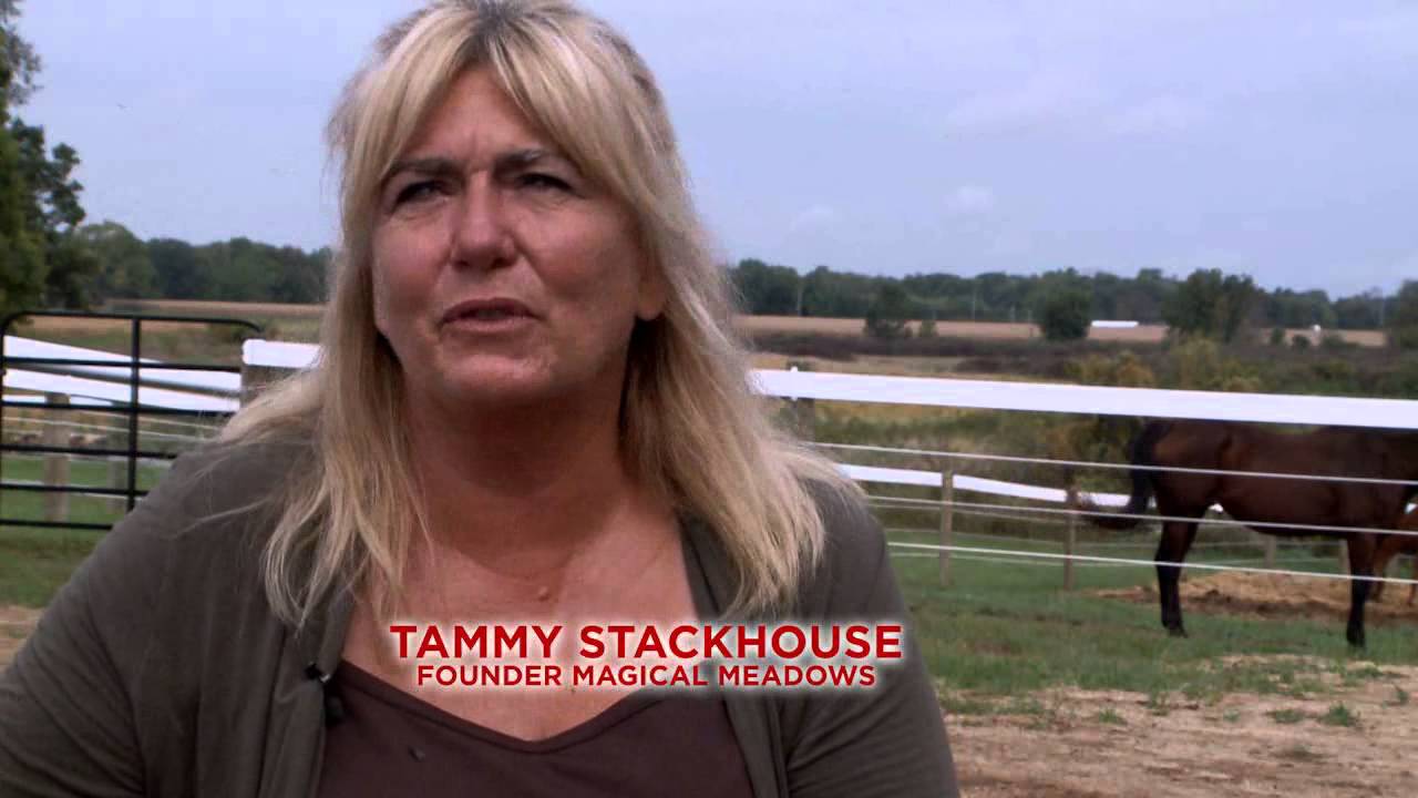 EQUINE THERAPY YouTube