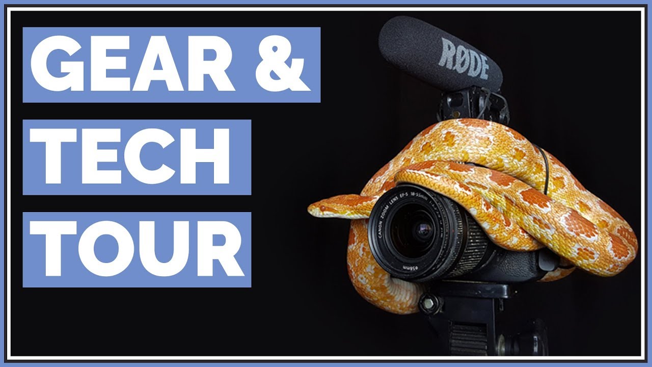 how to make youtube videos public Everything I use to make Videos | Gear & Tech Tour