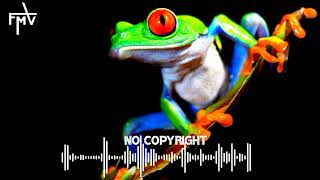 Frog sound effect free 11 | copyright free frog sound effect.