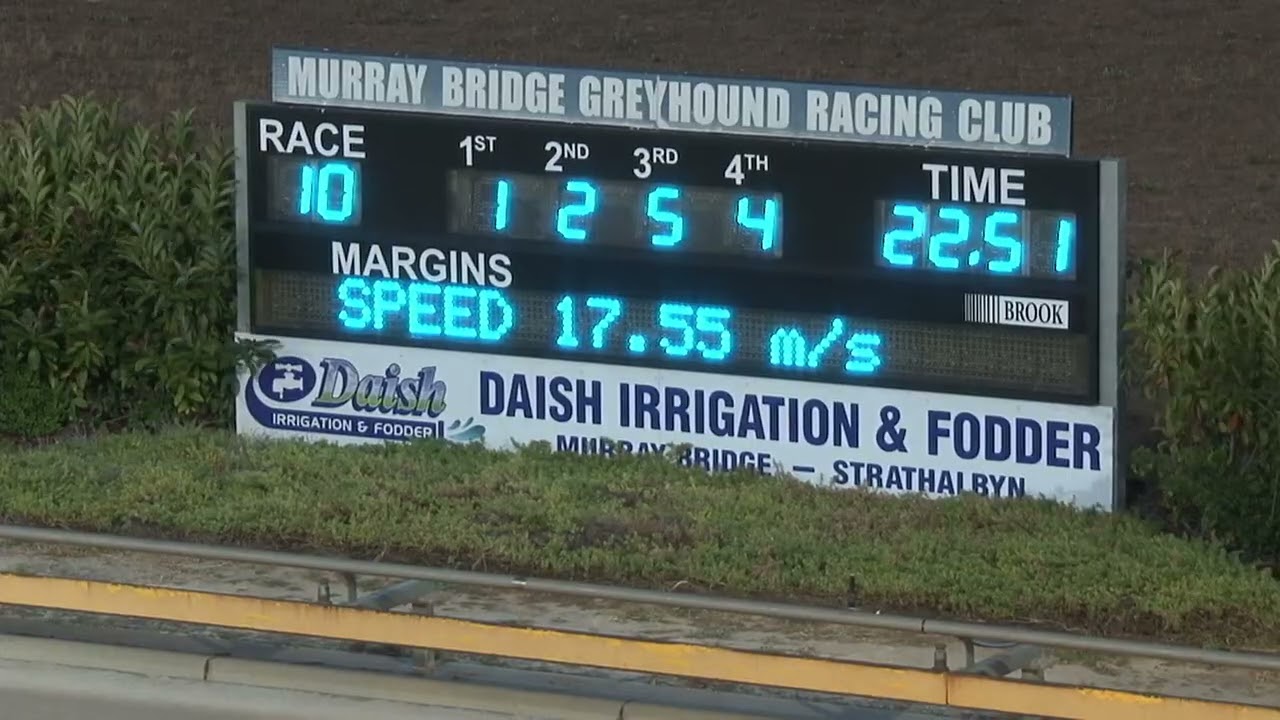 Murray-Bridge-11012026-Race-10