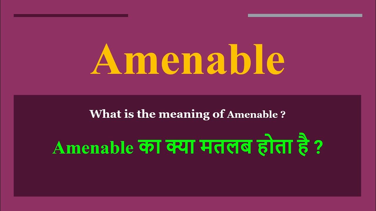 Amenable meaning in Hindi Amenable ka kya matlab hota hai daily use English words YouTube