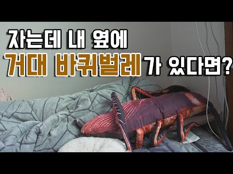 [석준] <strong>거대</strong> 바퀴벌레 인형 몰카ㅋㅋㅋㅋㅋ자다가 깼는데 내 옆에 거대한 바퀴벌레가...........? (여석커플 <strong>여름</strong> 석준 석준이가해)