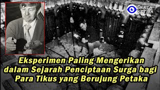 Eksperimen Paling Mengerikan dalam Sejarah, Penciptaan Surga bagi Para Tikus yang Berujung Petaka
