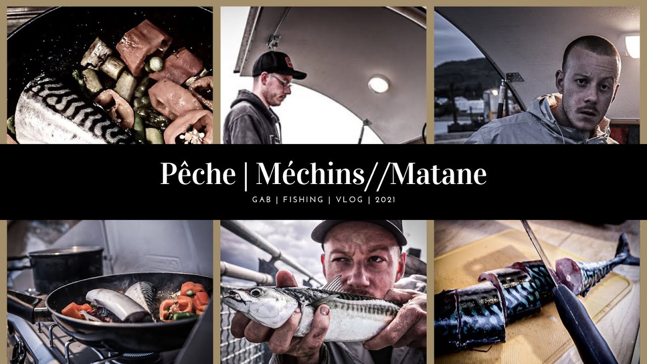 J'ai JAMAIS attrapé autant de poisson! | Pêche au quai des Méchins et Matane | Pêche québec 2021