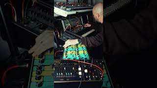 Ult Sound Vs Roland #vintagesynth #rolandsystem100 #ultsoundds4
Trying out the snap and click of the Ult Sound DS-4 Custom with the rubbery warmth of the System 100. Pretty great pairing Id say. Ult Sound Vs Roland #vintagesynth #rolandsystem100 #ultsoundds4