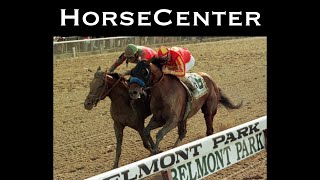 Belmont Stakes Day Picks & Plays on HorseCenter