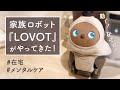 在宅時に最強の癒し。LOVOTが家にやってきました。